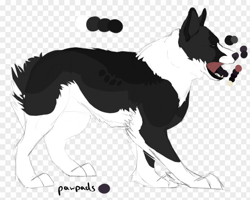 Horse Dog Breed Border Collie Rough Snout PNG