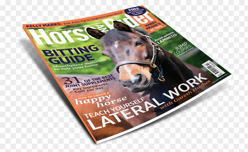 Horse Rider Magazine Brand Snout PNG