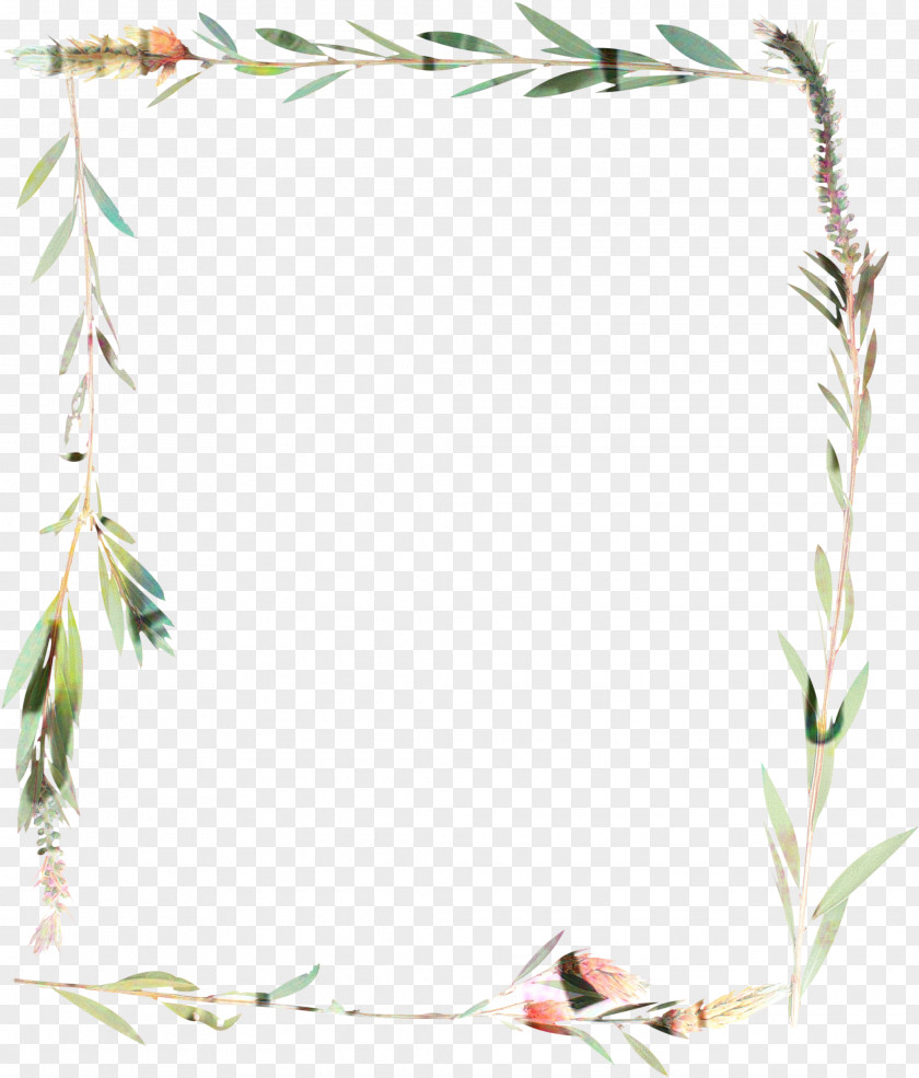 Plant Picture Frame Background Design PNG
