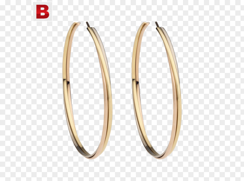Ring Earring Body Jewellery Bangle PNG