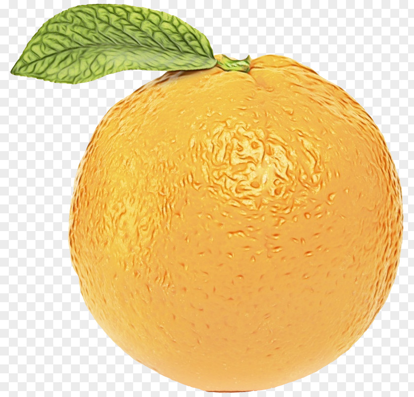 Valencia Orange Mandarin Tangelo Vegetarian Cuisine PNG