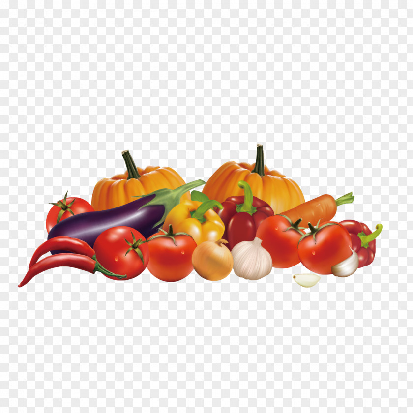 Vector Fruits And Vegetables Juice Organic Food Health Illustration PNG