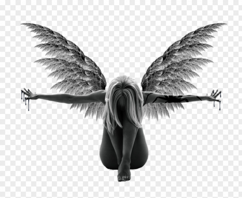 Angle Angel Cherub Clip Art PNG