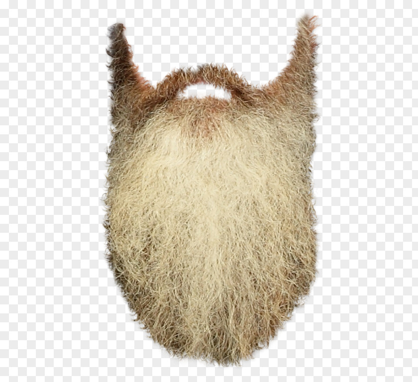 Beard Image Resolution Clip Art PNG