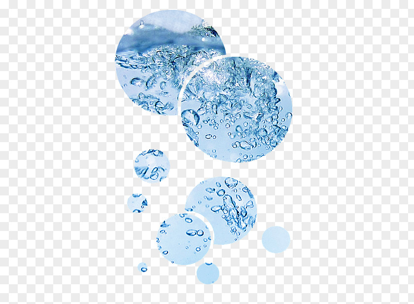 Burbujas De Agua Water Circle Organism PNG