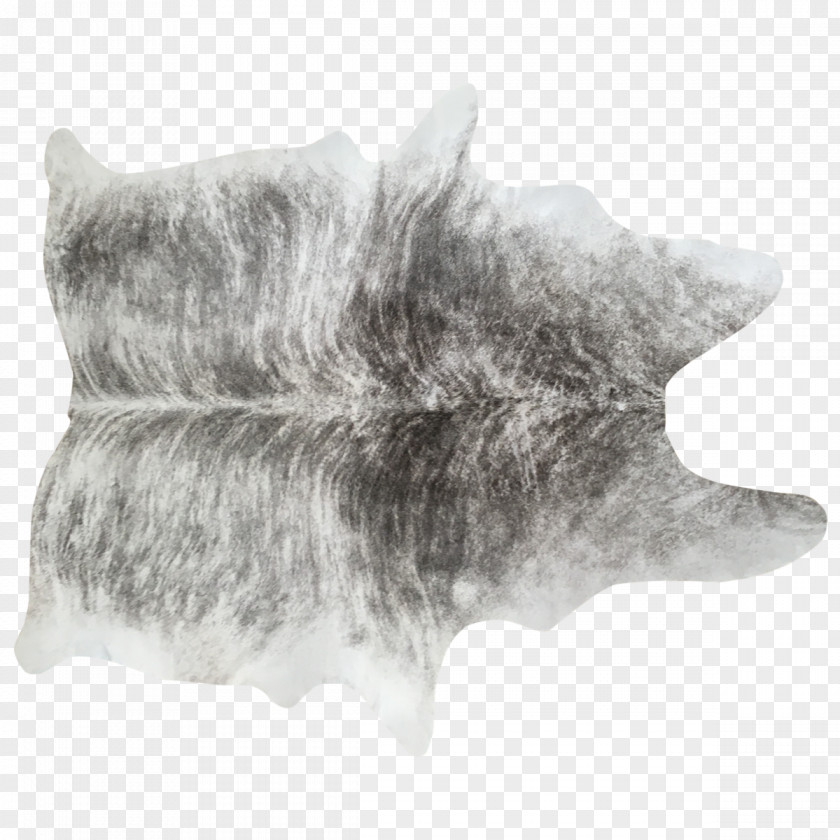 Dog Whiskers Fur Mammal Snout PNG