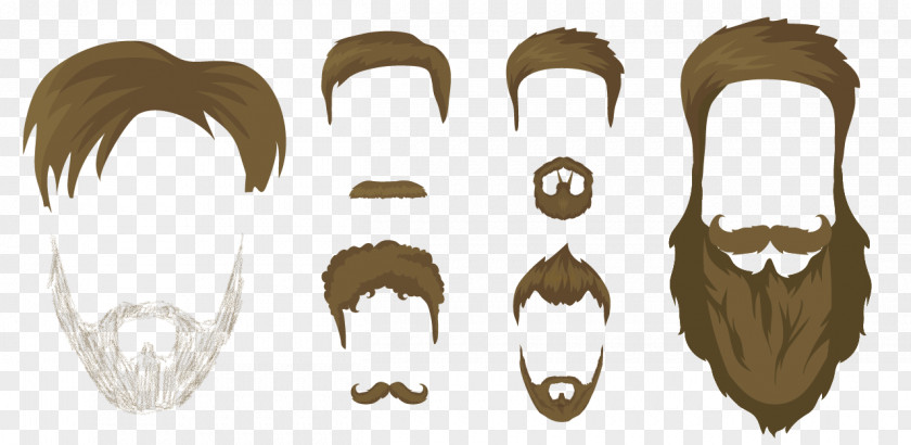 Ear Beard Facial Hair Chin Clip Art PNG