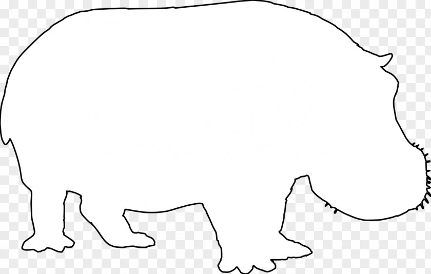 Hippo Whiskers Lion Cat Bear Mammal PNG