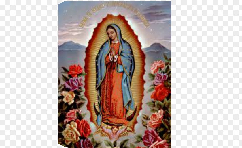 Our Lady Of Guadalupe Basilica National Shrine The Snows Totus Tuus Prayer PNG