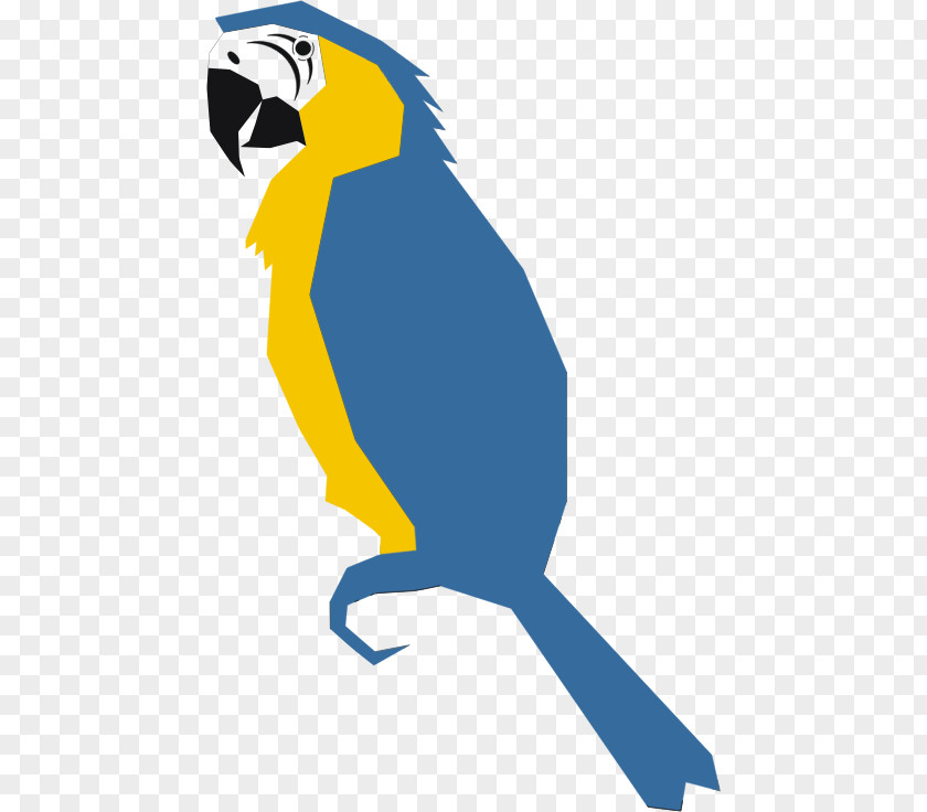Parrot Budgerigar Blue-and-yellow Macaw Clip Art PNG