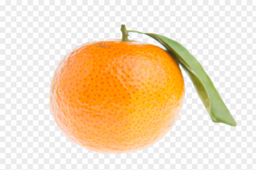 Tangerine Mandarin Orange Clementine Bitter Rangpur PNG