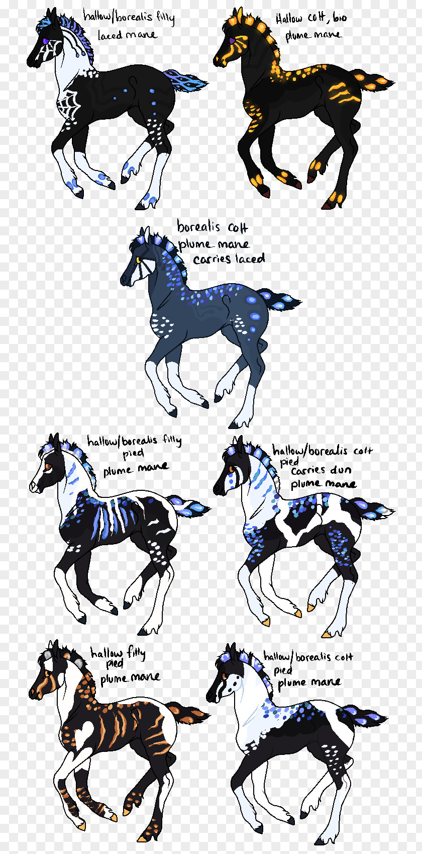 Aurora Borealis Wallpapers X Horse Legendary Creature Illustration Pack Animal Fiction PNG