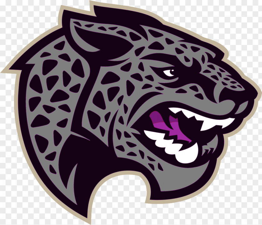 Jaguar Lyndon B. Johnson High School Jacksonville Jaguars Of Public Affairs PNG