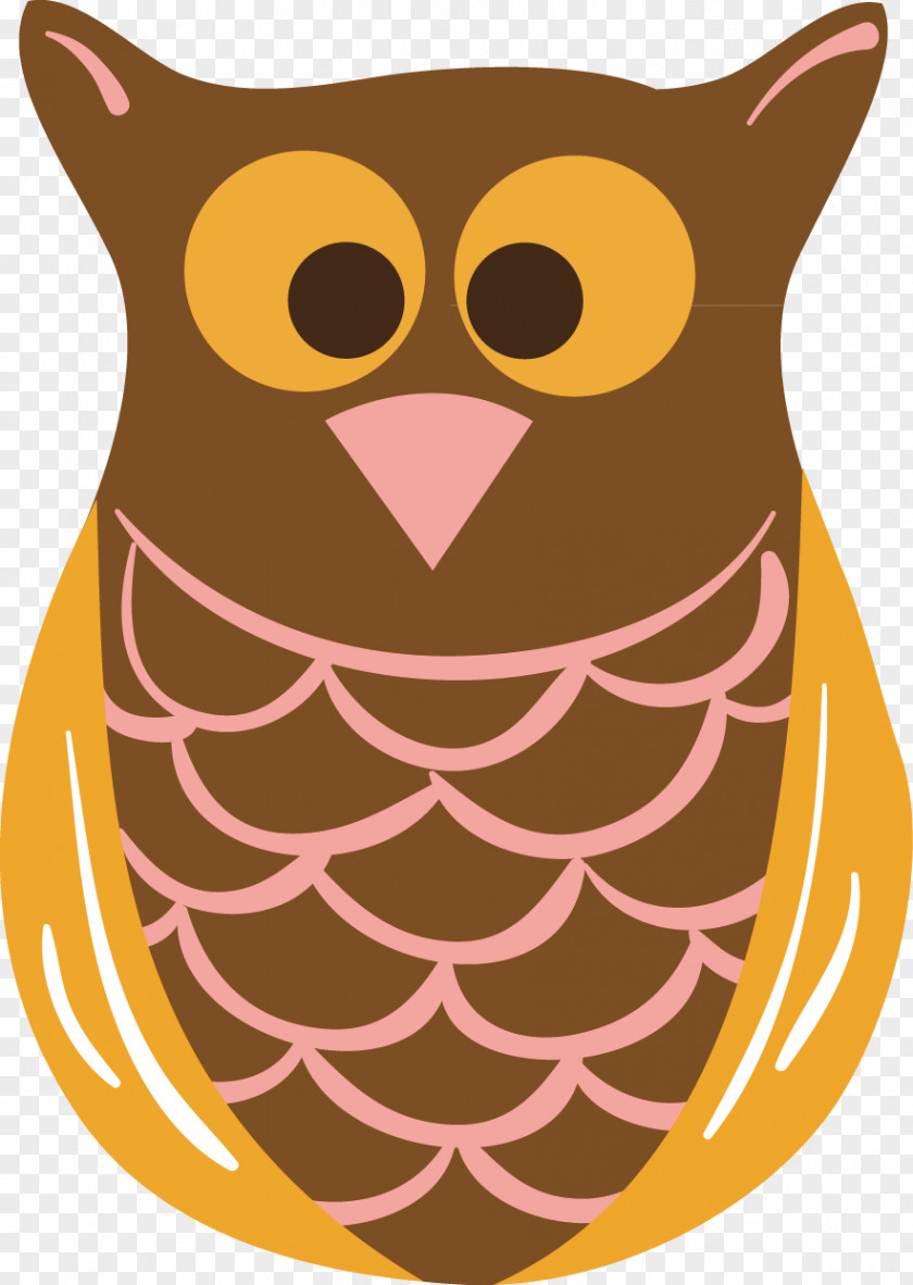 Owl Bird Illustration PNG