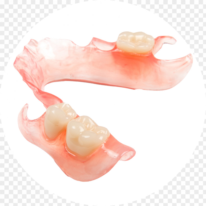 Spoof Of Dentures Dental Laboratory Dentistry Prosthesis PNG