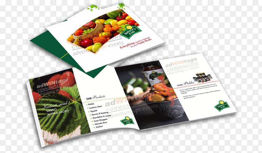 Agency Brochure Digital Marketing Advertising PNG