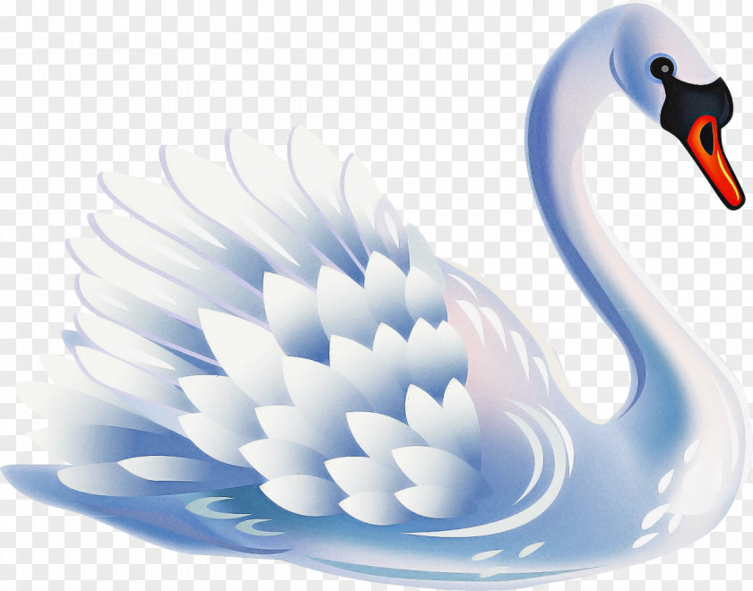 Black Swan Goose Water Background PNG