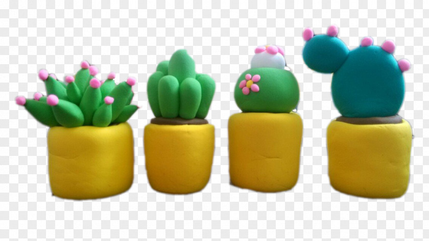 Cute Cactus Cactaceae Color Plant Garden PNG