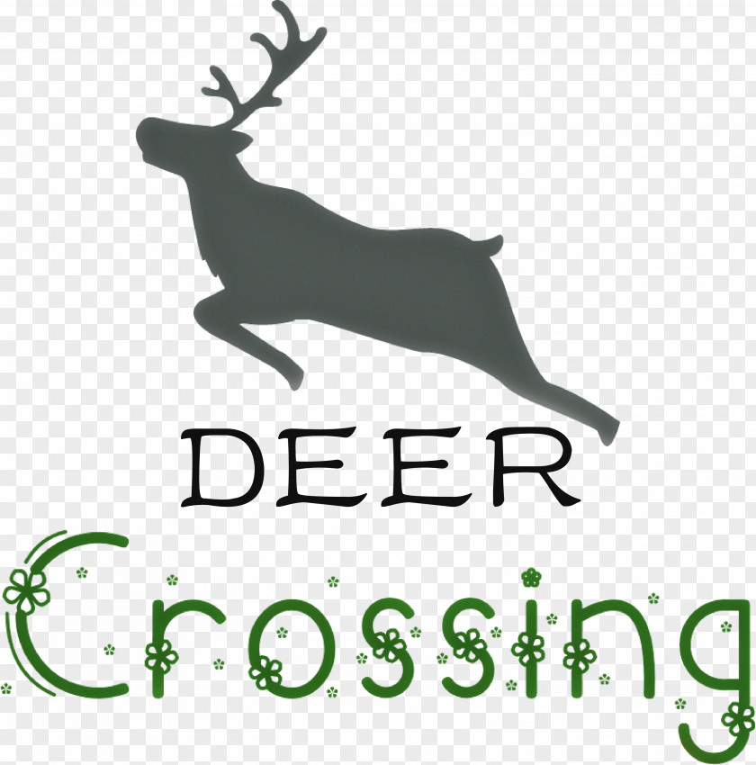 Deer Crossing PNG