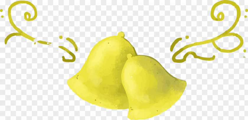 Watercolor Lemon Yellow Christmas Rings Adobe Illustrator PNG