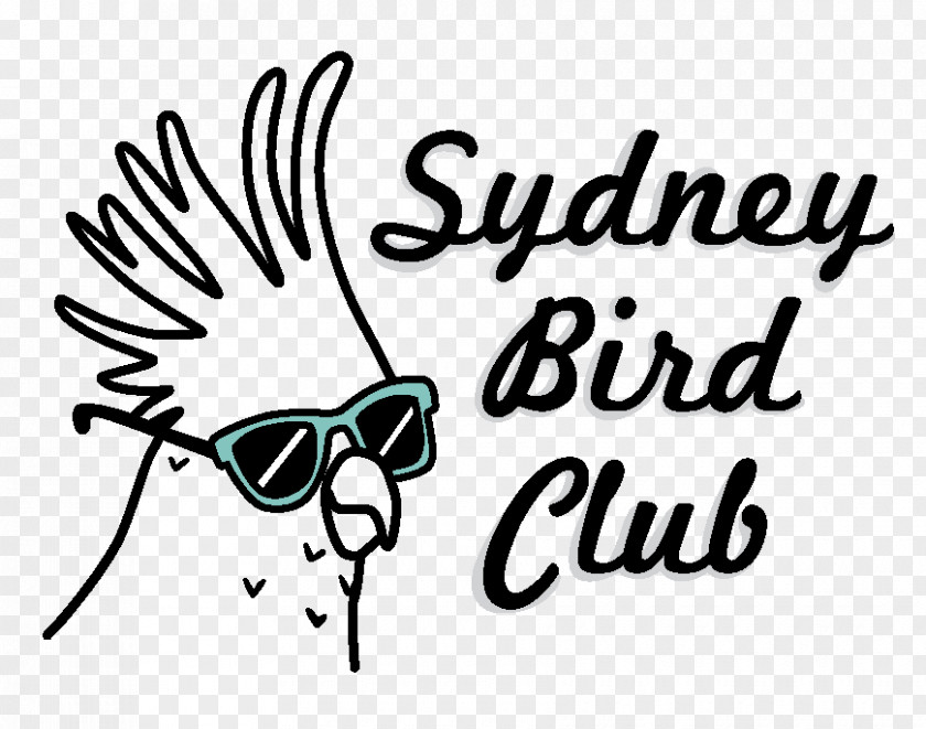 Yellowtailed Black Cockatoo Clip Art Graphic Design Sydney Bird PNG