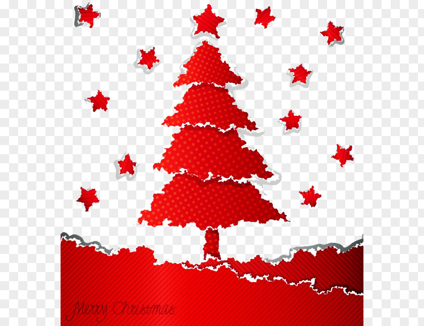 Christmas Tree Card PNG