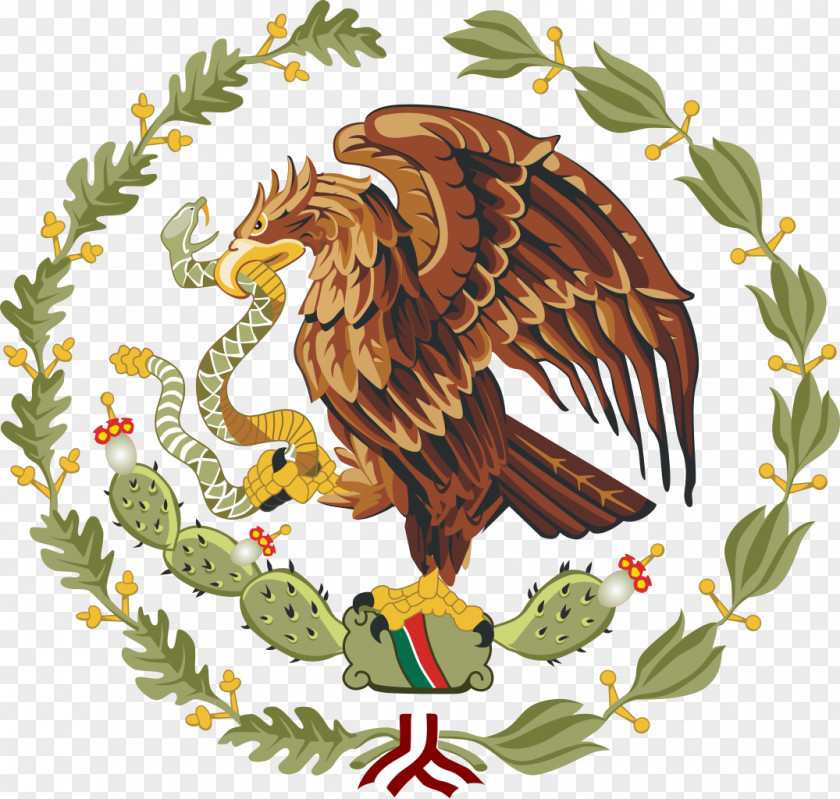 Coat Of Arms Mexico Flag National Emblem PNG