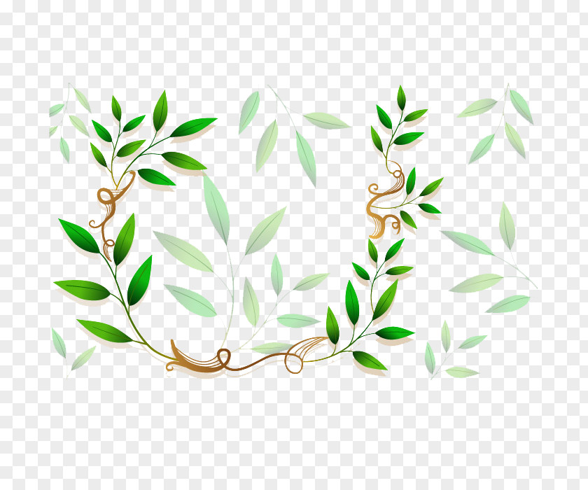 Green Leaf Frame Flower Royalty-free Clip Art PNG
