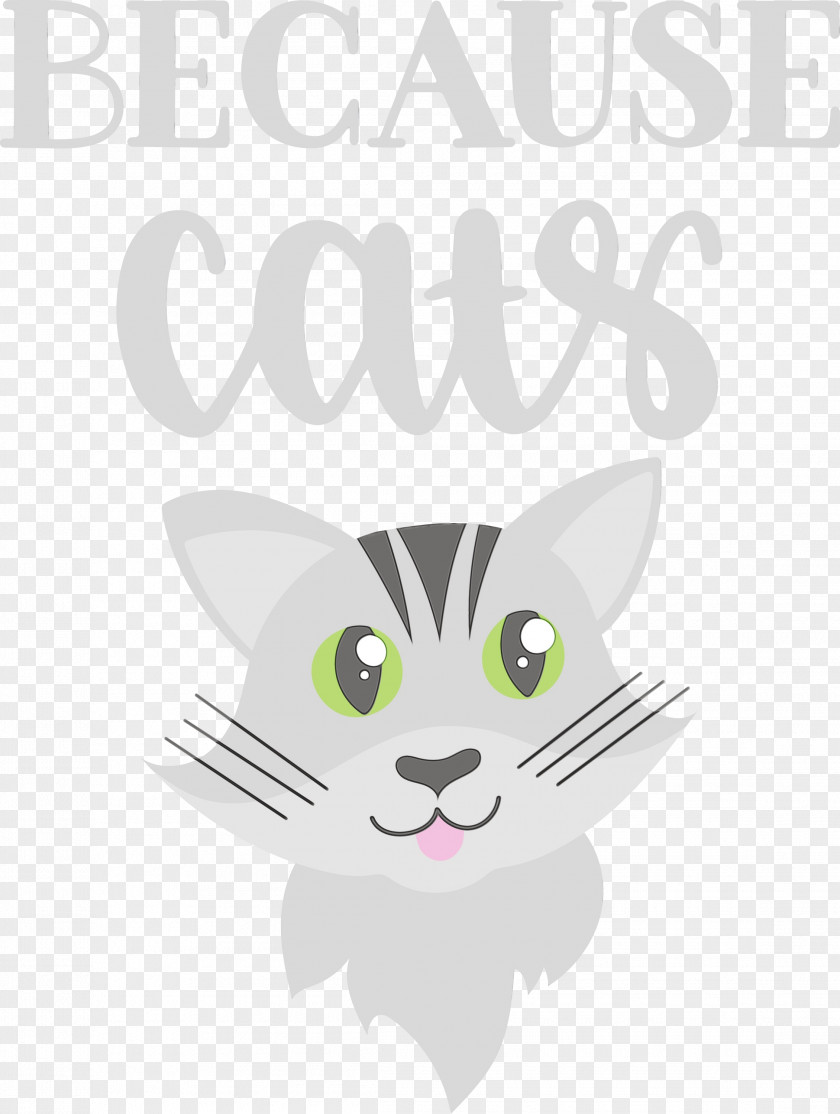 Kitten Whiskers Paw American Shorthair Domestic Short-haired Cat PNG