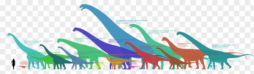 Dinosaur Sauropodomorpha Antarctosaurus Titanosaur Breviparopus PNG