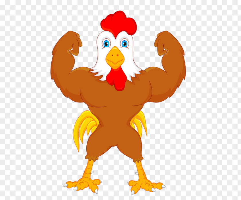 Leghorn Chicken Cochin Buffalo Wing Rooster PNG