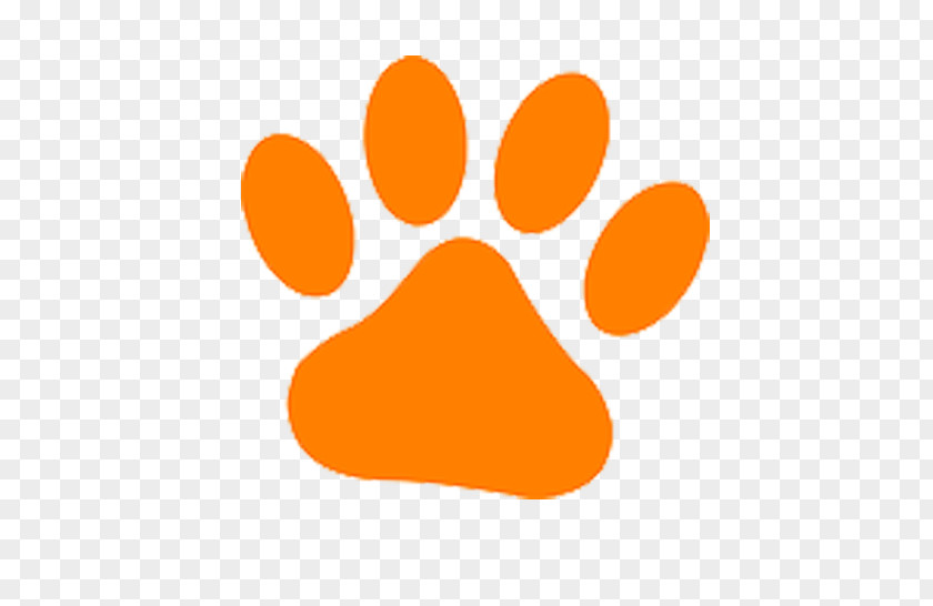 Orange Hand Painted Cat Footprints Dog Kitten Animal Shelter Pet Adoption PNG