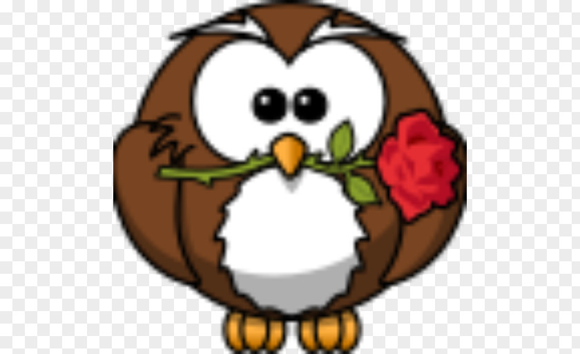 Owl Tawny Bird Little Clip Art PNG