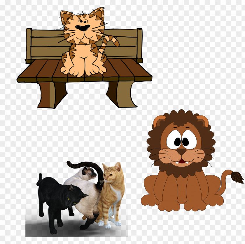 Three Colors Of The Different States Cat Persian Kitten Pet Sitting Clip Art PNG