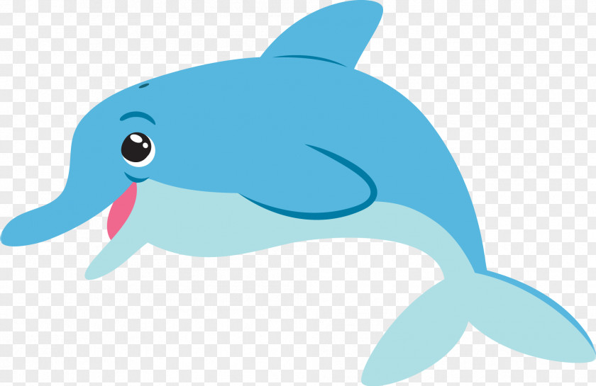 WİLD Common Bottlenose Dolphin Clip Art PNG