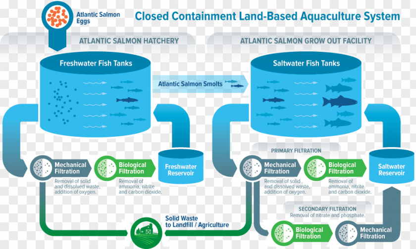 Water Recirculating Aquaculture System Sustainability Farm PNG