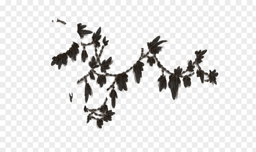 Black Feathers Font Leaf PNG