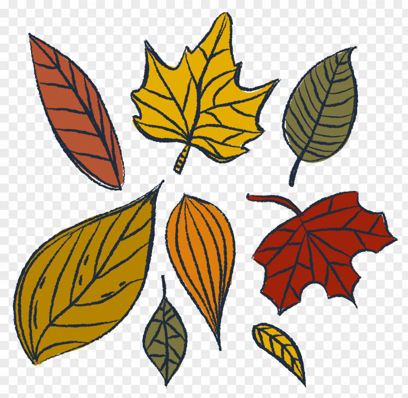 Drawing Vector Autumn Leaves Leaf Watercolor Painting PNG