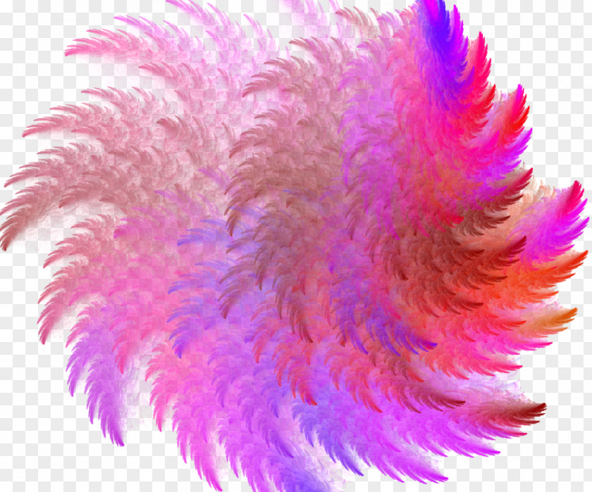 Feather Close-up Pink M PNG