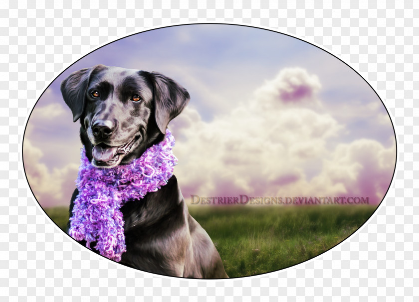 Puppy Dog Breed Sporting Group Snout PNG