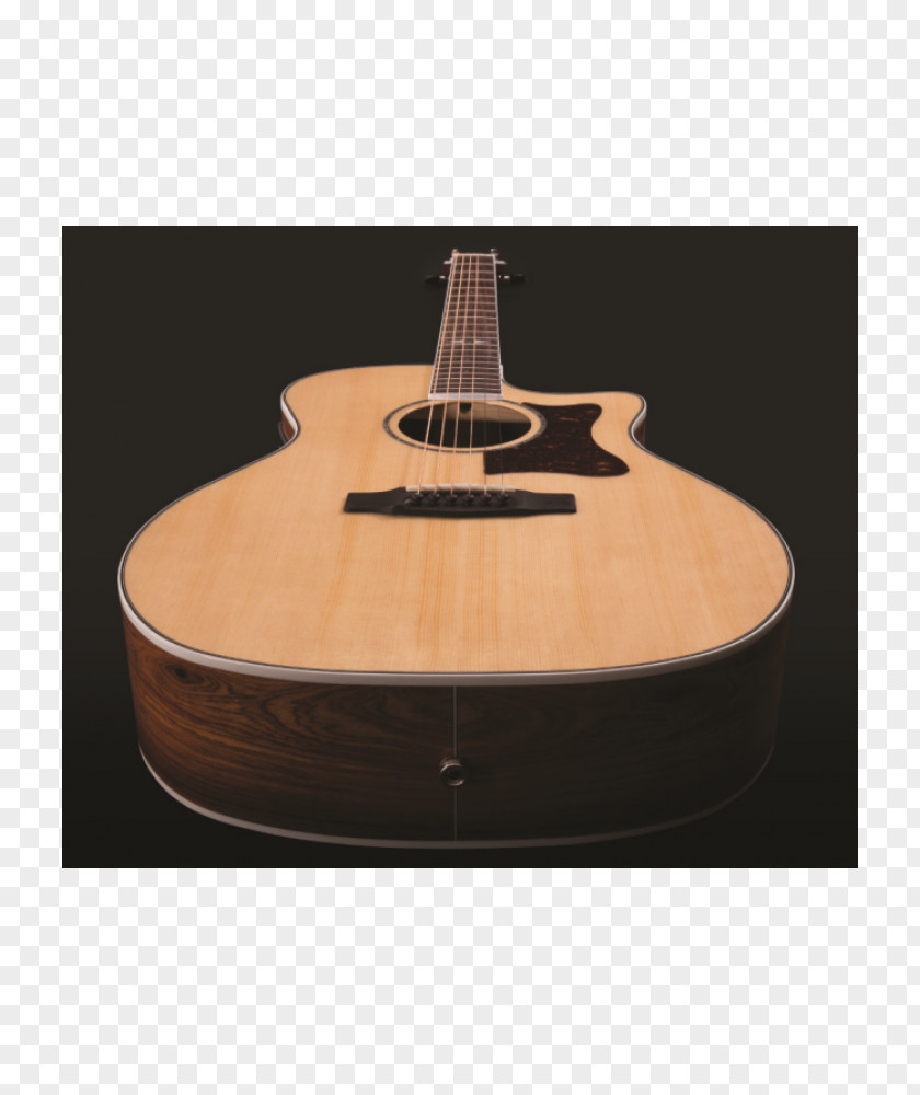 Acoustic Guitar Taylor 514CE Acoustic-Electric PNG