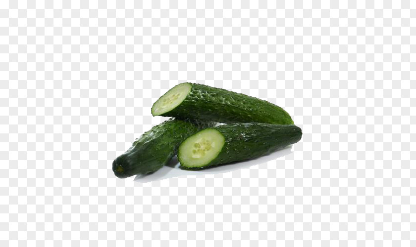 Fresh Cucumber Slicing Vegetable Gratis Pepino PNG