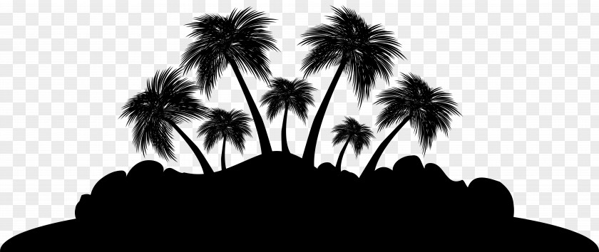 Palm Trees Silhouette Sky PNG