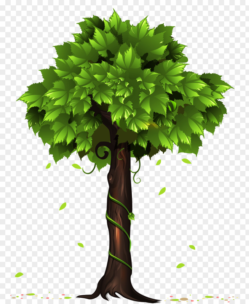 Tree Clip Art PNG