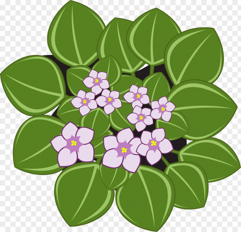 Violets African Clip Art Openclipart Violet Society Of America Vector Graphics PNG