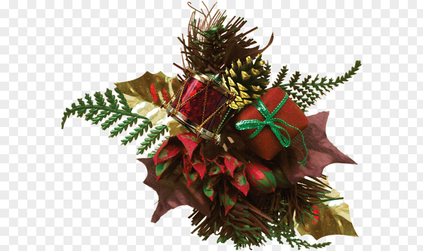 21 Savage Christmas Ornament Leaf Flowering Plant PNG