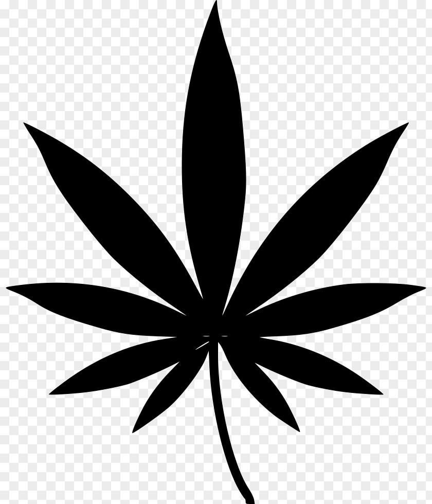Cannabis Medical Hemp Clip Art PNG