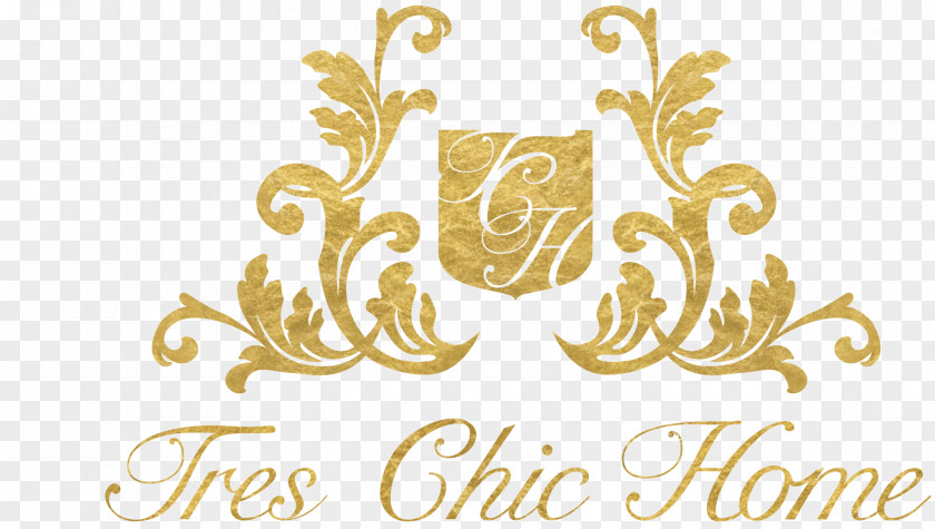 Chic Stethoscope Logo Designs Arizona Price Sales Font PNG