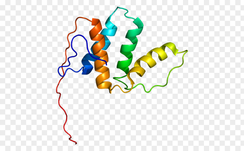 Enzymes Ornament PECI Enoyl CoA Isomerase Enzyme Gene PNG