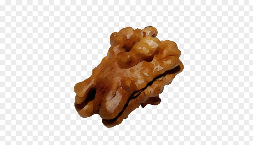 False Morel Wet Ink PNG